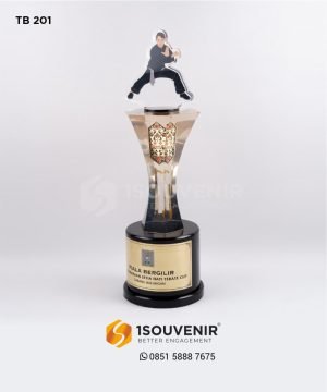 Piala Bergilir PSHT Cup