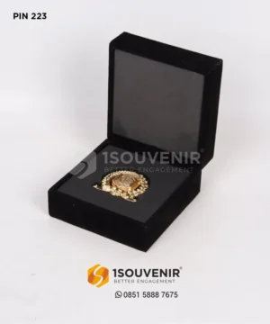 Pin DPRD Murung Raya