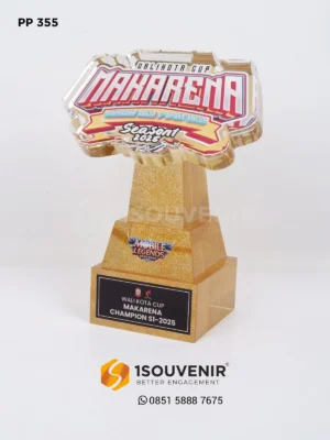Piala Penghargaan Walikota Cup...